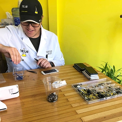 Fixing Phones at The Lab