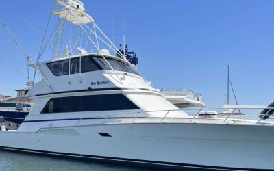 Clear Vision Media Has Now Expanded Matterport Into Yacht Sales