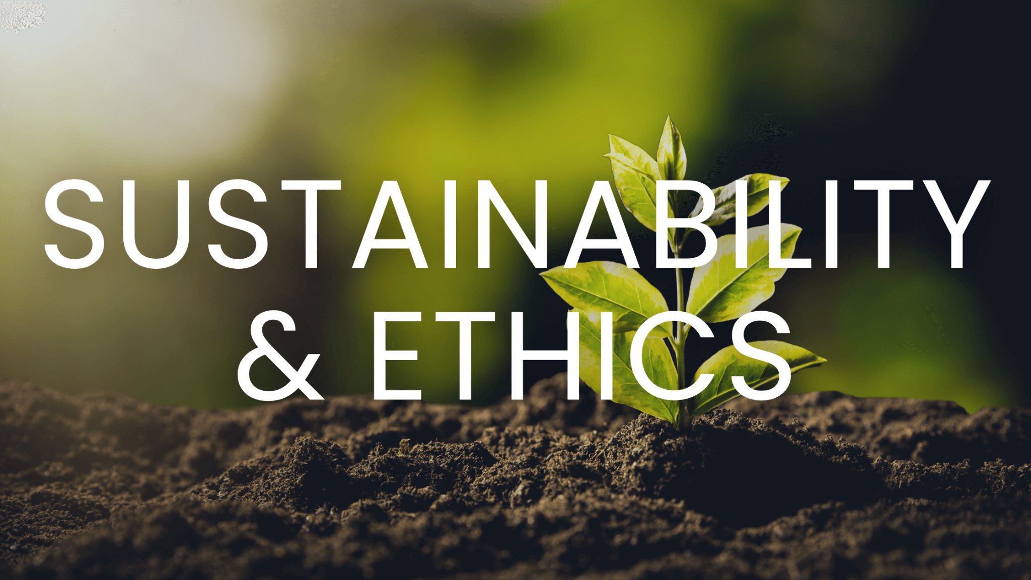 Sustainability & Ethics